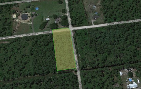 0.98 Acres Residential and Agricultural Lot in Palatka, FL, Seller Financing Available! – Putn-1218