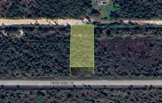 Half Acre Lot Ready for Building, Only $3,000 Down – Polk-1103